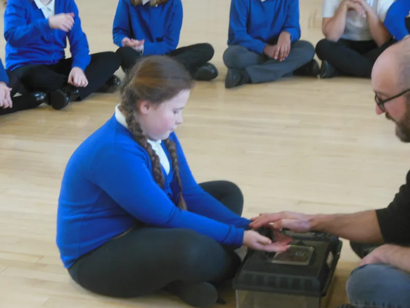 Y6 Reptile Rendezvous - image 10