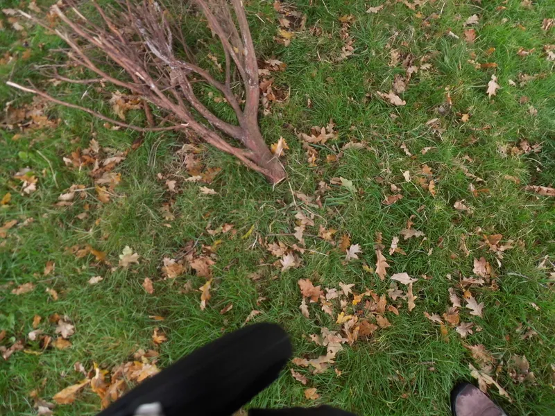 Gallery - created at 2019-11-14 13:10:46 - image 28 Gallery - created at 2019-11-14 13:10:46 - image 28