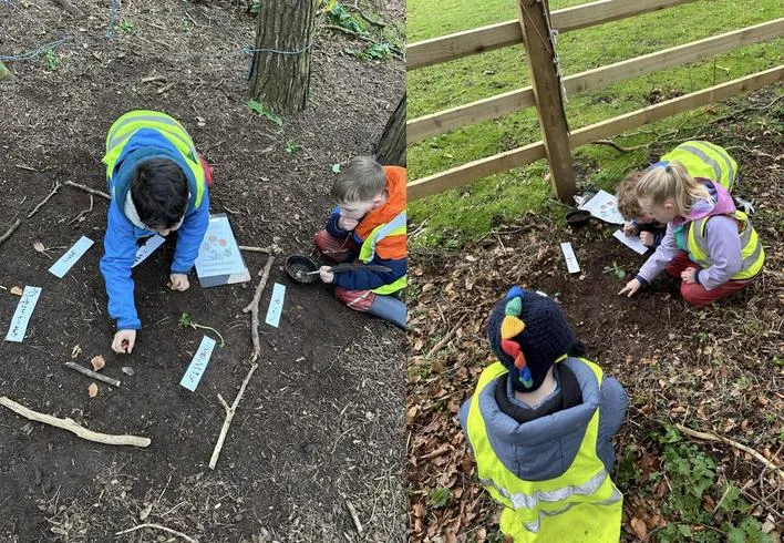 Spring 2024 - 6th March - Acorns - Plant Life Cycle - image 4 Spring 2024 - 6th March - Acorns - Plant Life Cycle - image 4