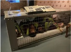 Y6 Autumn 2 - image 1