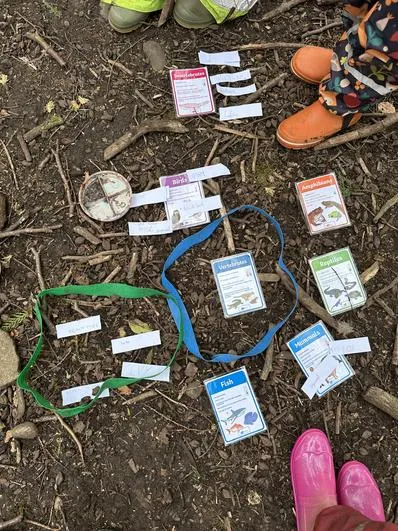 Summer 2023 - April 26th - Saplings - Living Things and Their Habitats (vertebrates and Invertebrates) - image 1 Summer 2023 - April 26th - Saplings - Living Things and Their Habitats (vertebrates and Invertebrates) - image 1