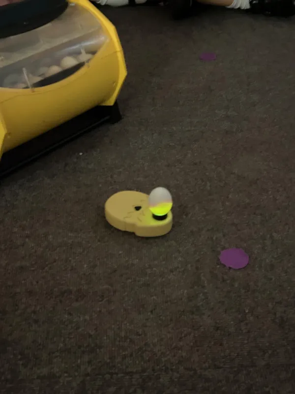 Gallery - created at 2025-05-02 12:16:59 - image 9