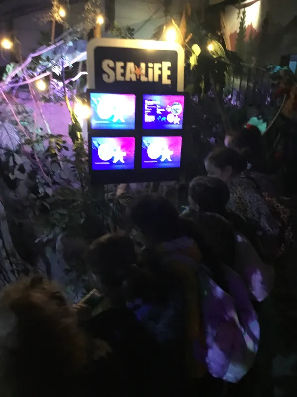 Year 5 Sealife Centre  - image 39