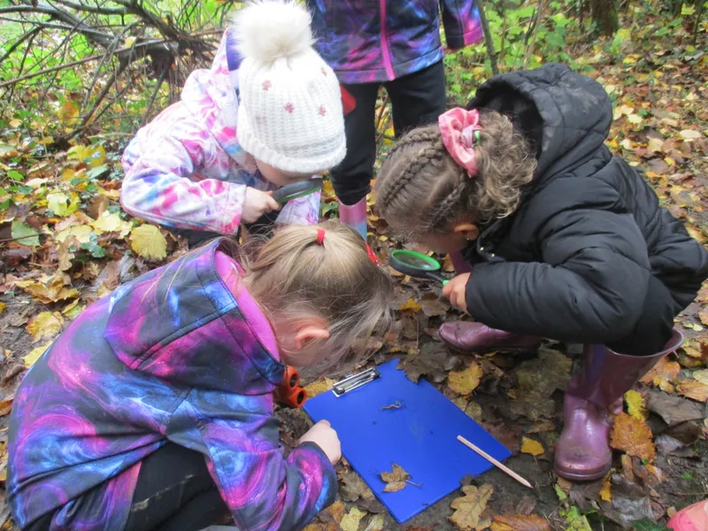 Forest School Fun Year 1 - image 17 Forest School Fun Year 1 - image 17