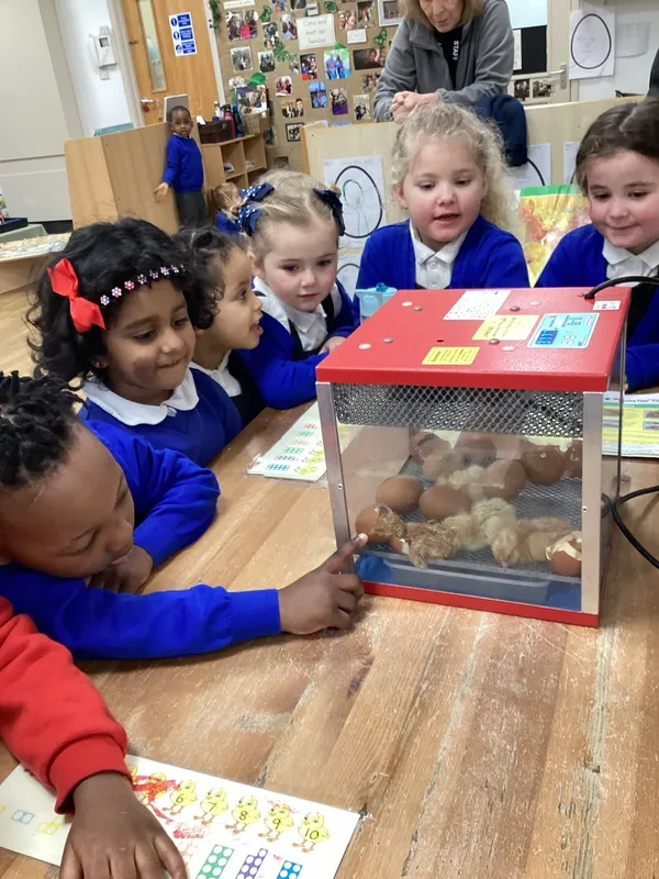 Gallery - created at 2024-07-04 16:12:30 - image 13