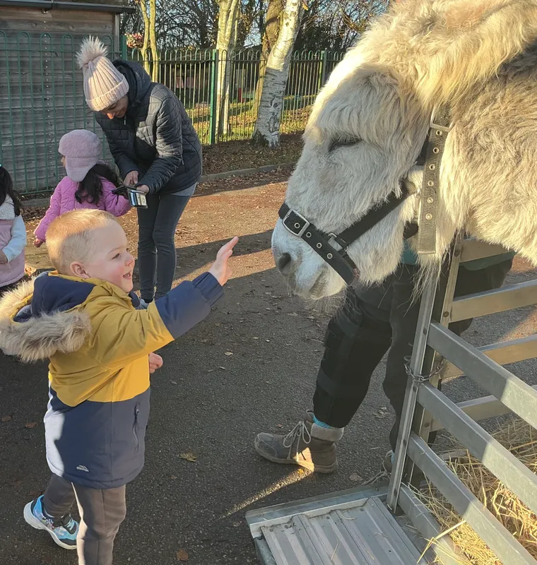 Explorers with Stella on Wheels  - image 22