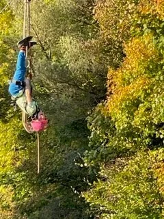 Gallery - created at 2022-10-22 14:49:24 - image 38