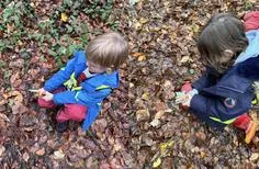 Forest School 85 - image 2 Forest School 85 - image 2