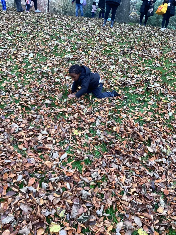 Gallery - created at 2024-11-08 10:10:59 - image 48 Gallery - created at 2024-11-08 10:10:59 - image 48