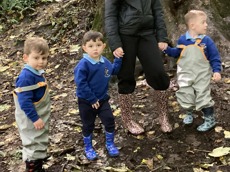Nursery Fun in the Woods - image 5 Nursery Fun in the Woods - image 5