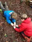 Forest School 160 - image 4 Forest School 160 - image 4