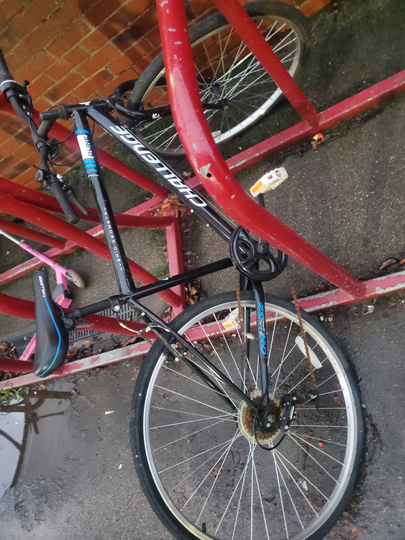 Missing bicycle
