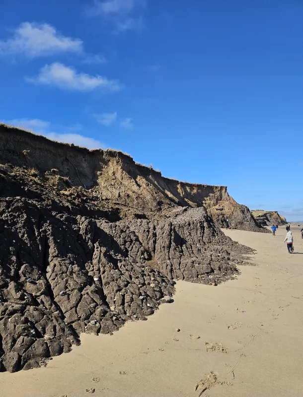 Class 2 Coastline Visit 1 - image 14