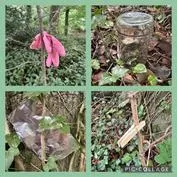 Forest School 32 - image 2 Forest School 32 - image 2