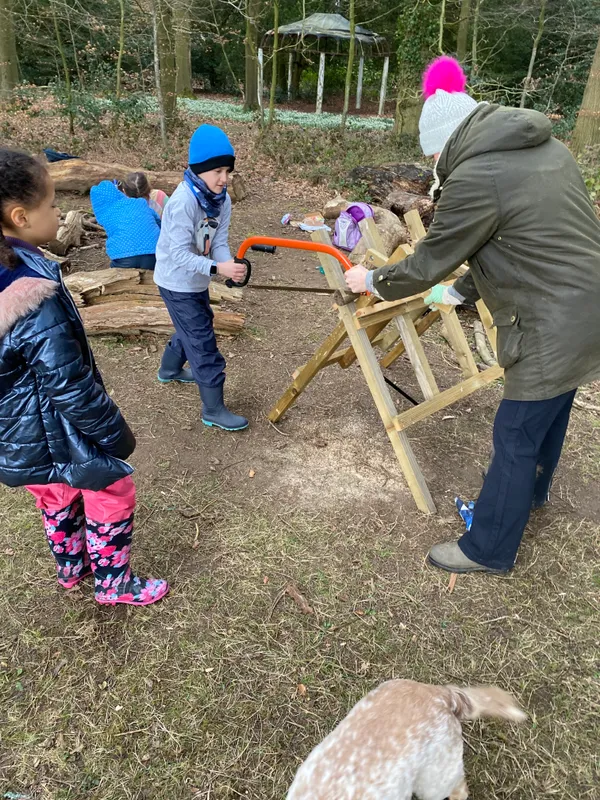 Gallery - created at 2023-03-07 12:40:22 - image 3 Gallery - created at 2023-03-07 12:40:22 - image 3