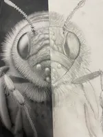 Bugs - image 5