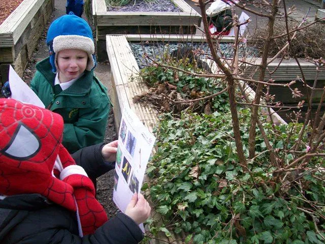 Gallery - image 77 Gallery - image 77