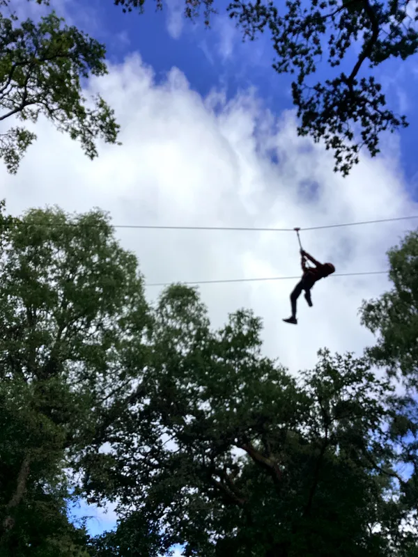 Youlbury 26 - Zipline - image 37