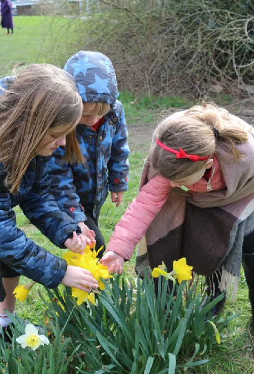 Find out more about our members of staff