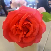 Art Mock Exam Work 2026 - image 24