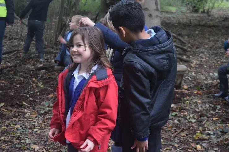 Gallery 6 - image 22