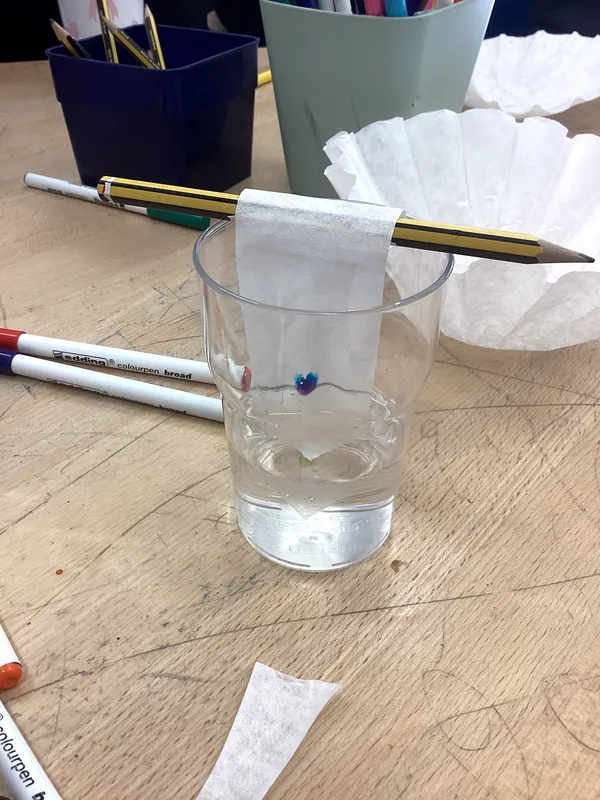 Science Week 2026 - image 37