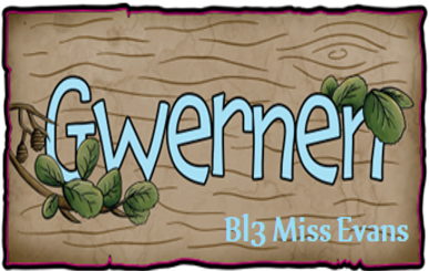 Blwyddyn 3 - Miss Phelps
