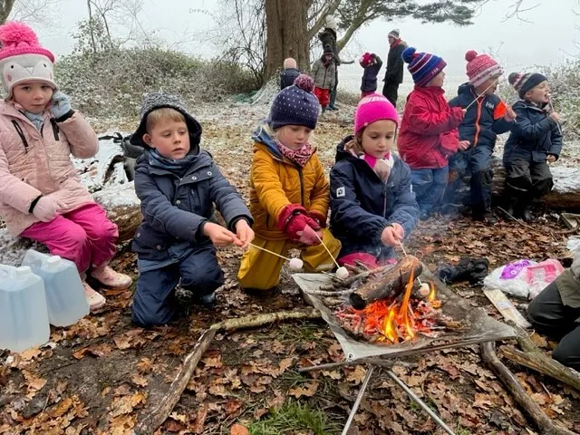 Gallery - created at 2022-12-13 08:04:26 - image 3