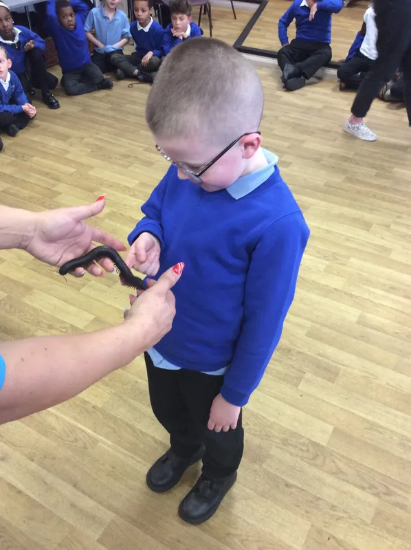 Gallery - created at 2024-03-05 13:52:56 - image 51 Gallery - created at 2024-03-05 13:52:56 - image 51