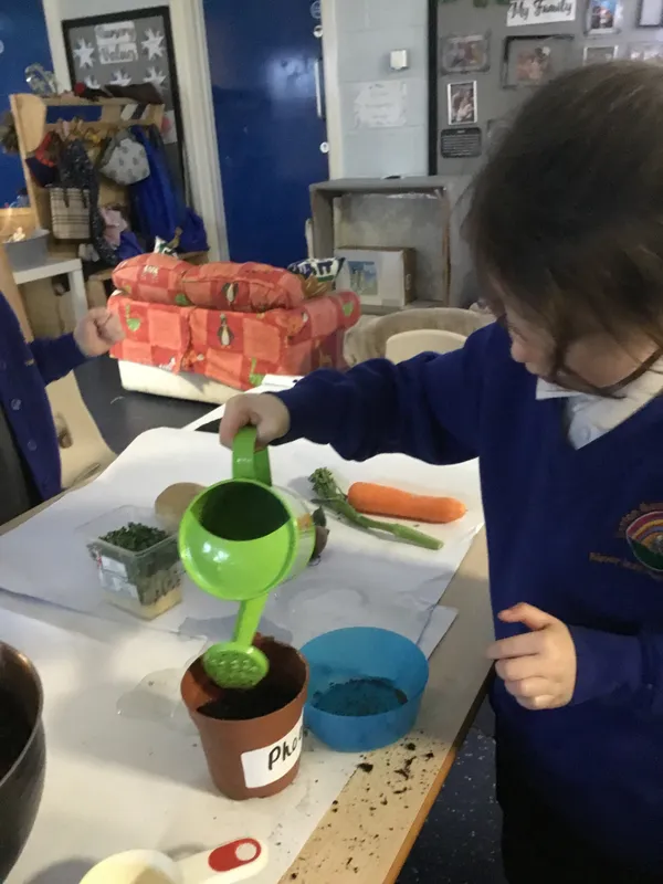 Nursery planting  - image 3