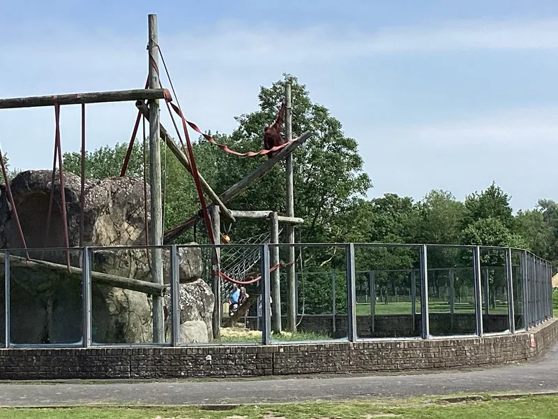 Blackpool zoo - image 15