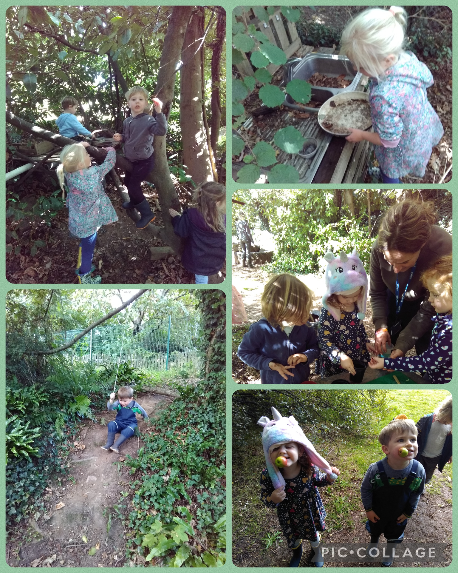 Forest School Fun!