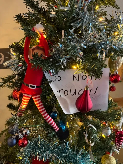 Elf on the Shelf Reception 2025 - image 1 Elf on the Shelf Reception 2025 - image 1