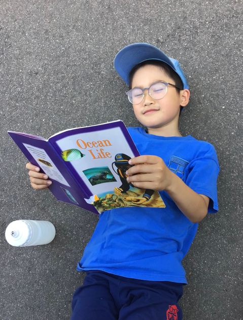 Year 3 Summer Week 4