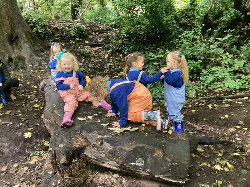 Nursery Fun in the Woods - image 9 Nursery Fun in the Woods - image 9