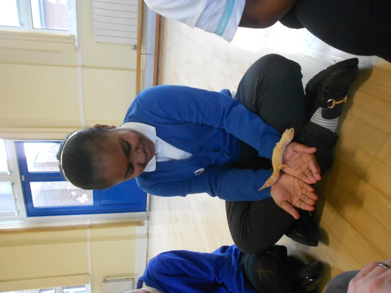 Y6 Reptile Rendezvous - image 35