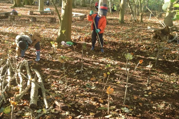 Gallery 4 - image 16