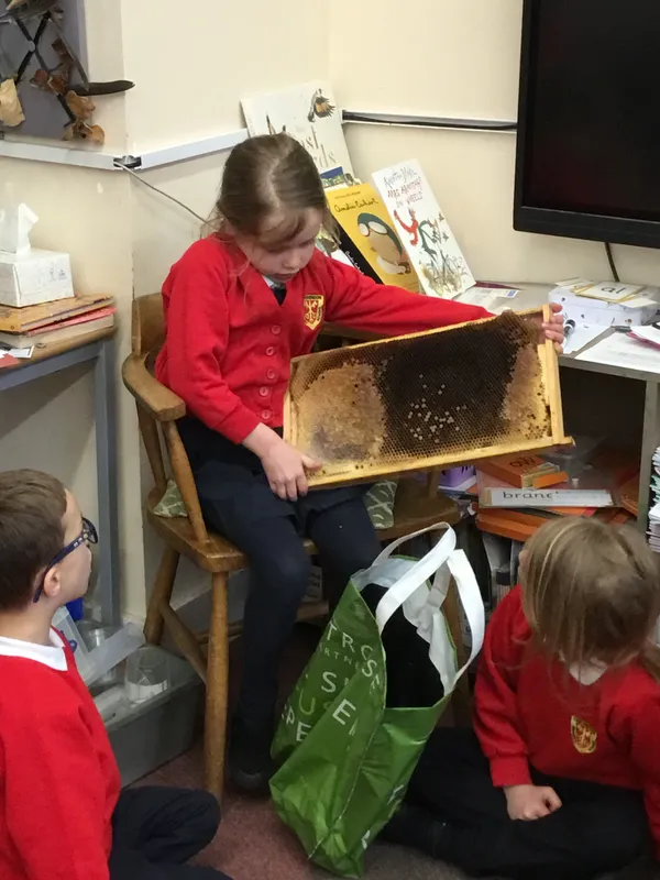 Gallery - created at 2023-03-09 20:11:39 - image 1