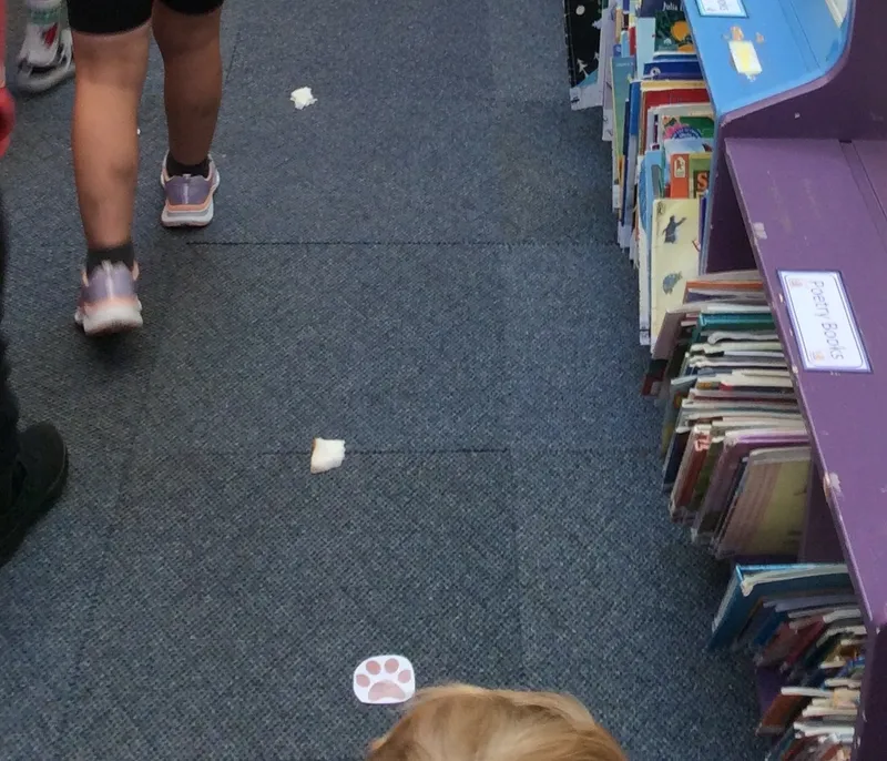 Year 1 Paddington Experience - image 1