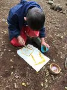 Forest School 127 - image 2 Forest School 127 - image 2