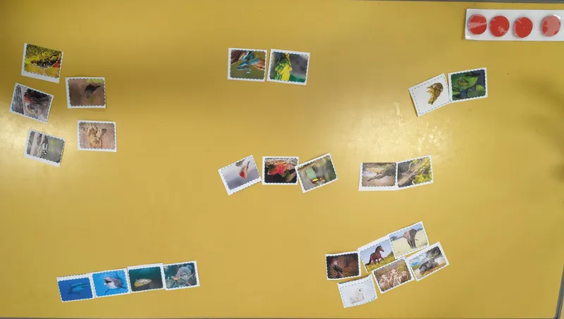 Gallery - created at 2025-05-18 08:56:59 - image 5