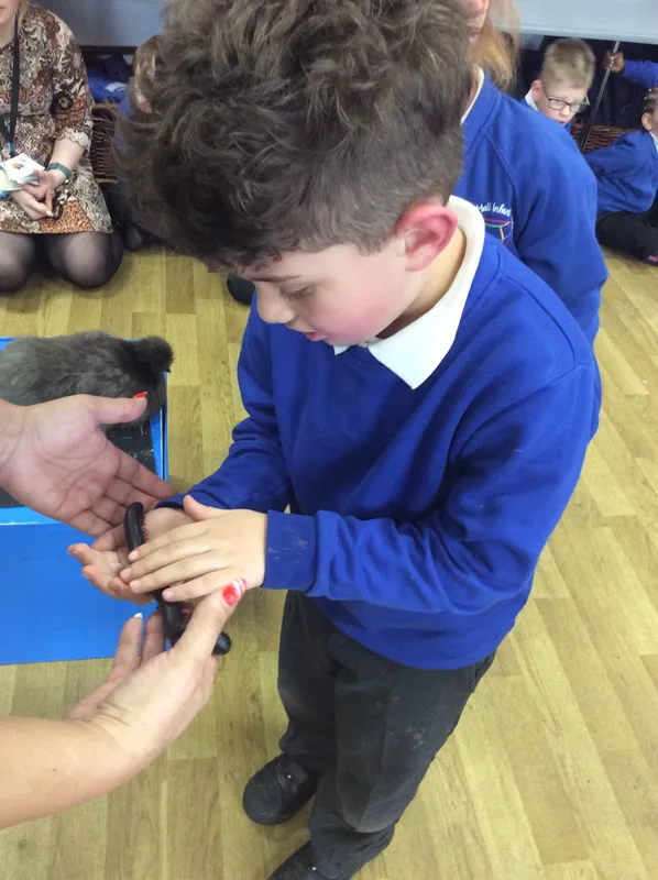 Gallery - created at 2024-03-05 13:52:56 - image 41 Gallery - created at 2024-03-05 13:52:56 - image 41