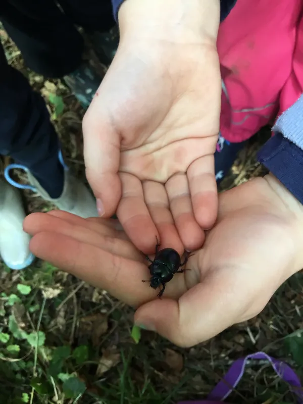 Gallery - created at 2022-09-14 12:24:08 - image 1