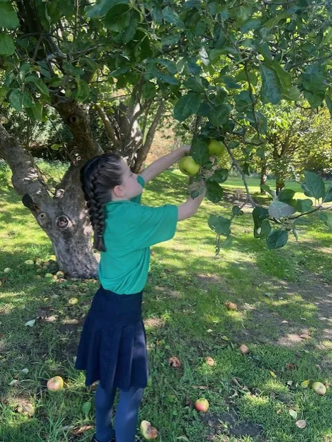 Apple Picking 2025 in Hendred House Garden - image 7