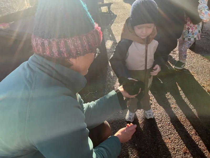 Stella ‘Farm on wheels’ part 2  - image 10