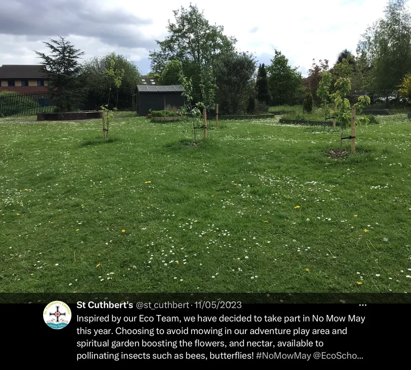 Gallery - created at 2023-06-16 12:33:36 - image 19