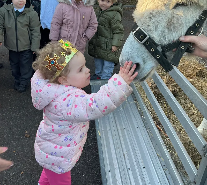 Stella farm on wheels Part 1 - image 58