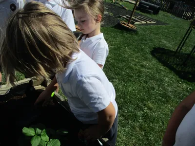 Planting - image 42