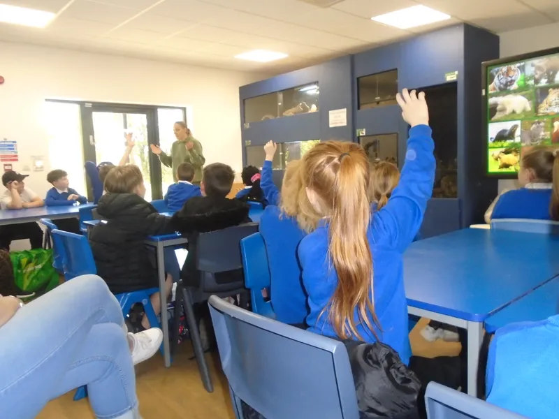 Y3 Yorkshire Wildlife Park Trip - image 24