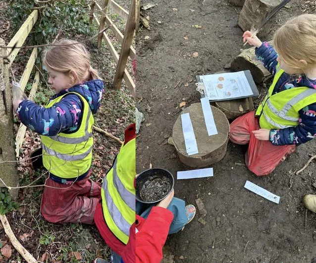 Spring 2024 - 6th March - Acorns - Plant Life Cycle - image 2 Spring 2024 - 6th March - Acorns - Plant Life Cycle - image 2